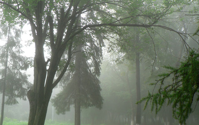 Hava ilə bağlı xəbərdarlıq - Leysan, külək, şimşək...
