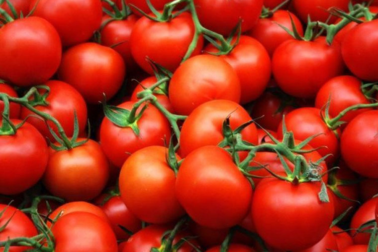 33 ton Azərbaycan pomidoru niyə geri qaytarıldı? — SƏBƏB