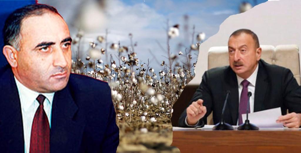 Goranboy icra başçısından Prezidentə daha bir xəyanət: PAMBIQ SAHƏLƏRİ BELƏ MƏHV EDİLDİ