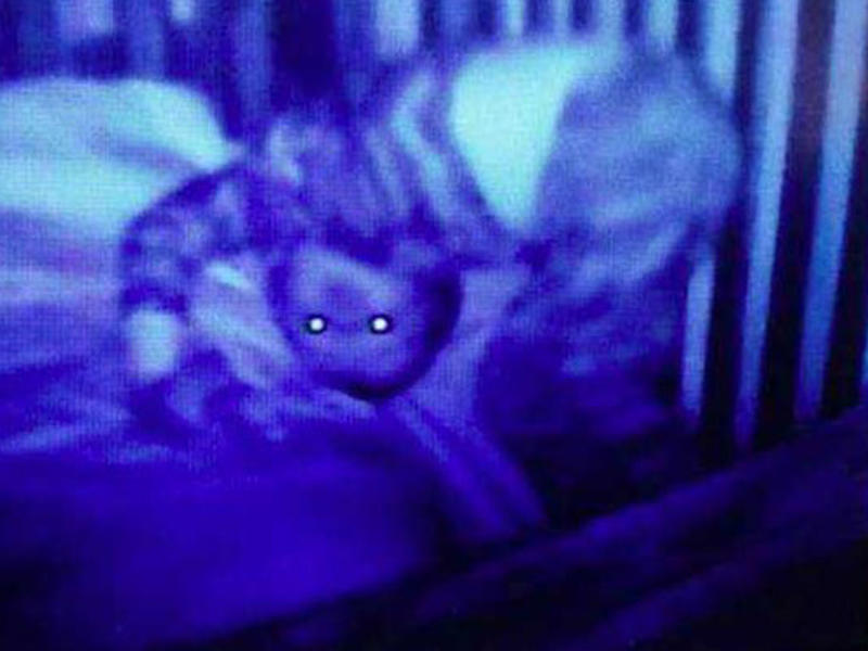 Uşağının otağına kamera yerləşdirən ailə gördüklərindən dəhşətə gəldi - FOTO