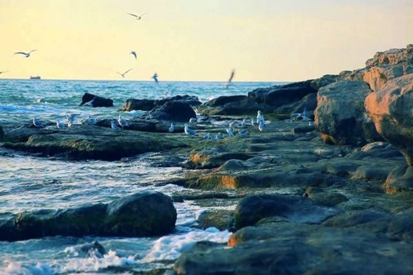 Xəzəryanı ölkələrin XİN başçılarının Moskvada görüşü keçiriləcək