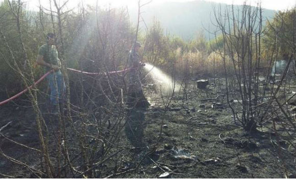 Daşkəsəndəki meşə yanğını söndürüldü