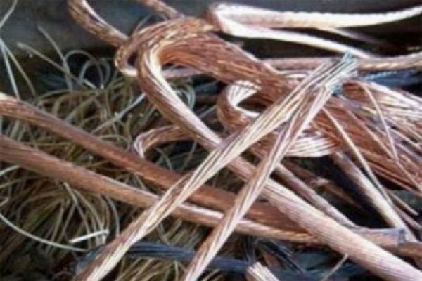 Salyanda kabel oğruları həbs olundu