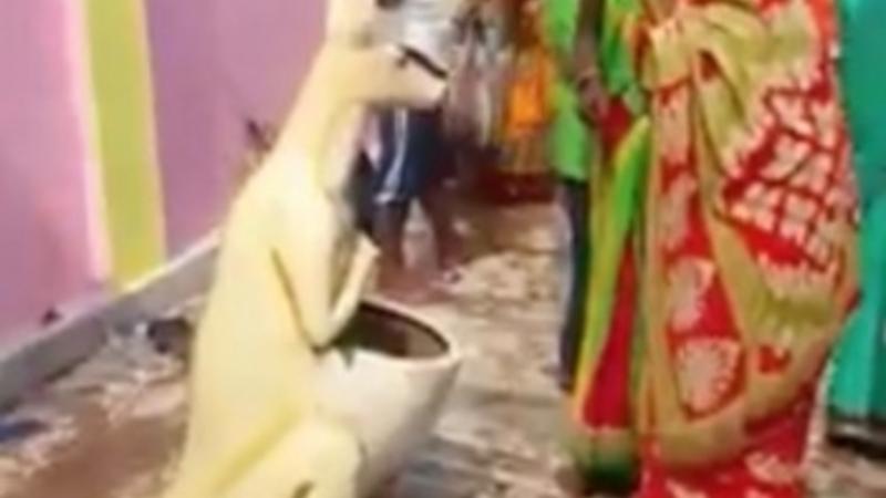 Zibil qabını Allah bilib sitayiş etdilər - VİDEO