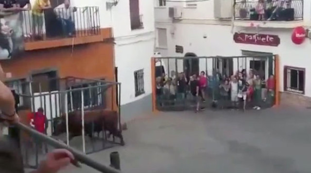 Buğa onu hirsləndirən kişini şil-küt etdi - Video