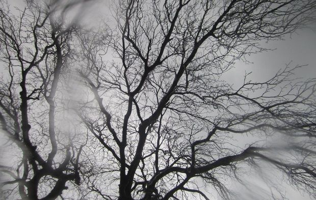 Temperatur 6 dərəcə aşağı enəcək – XƏBƏRDARLIQ