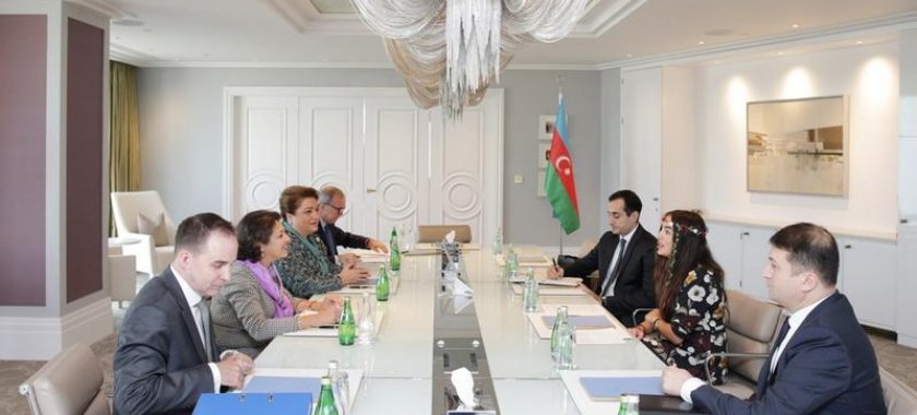 Leyla Əliyeva UNİCEF-in regional direktoru ilə görüşdü