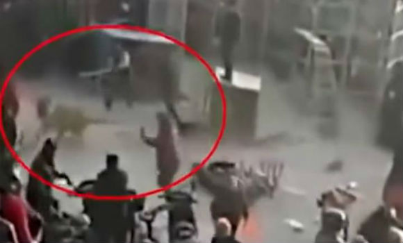 Çində dəhşət — Sirkdə pələng iki nəfəri parçaladı - VİDEO