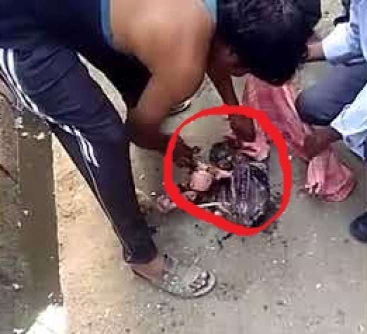 VİDEO: Belə vəhşilik görülməyib - Yeni doğulmuş körpəni kanalizasiyaya atdılar