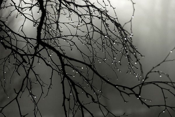 Sabah Bakıda yağış yağacaq – PROQNOZ