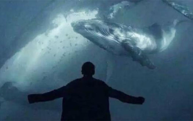 Hövsanda uşaqlar qollarını niyə kəsib? - “Mavi balina” izi