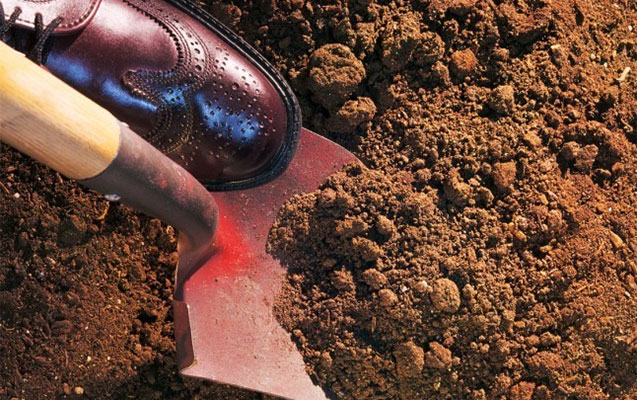 Salyanda amansız qətl: Arvadını və 4 qızını öldürdü