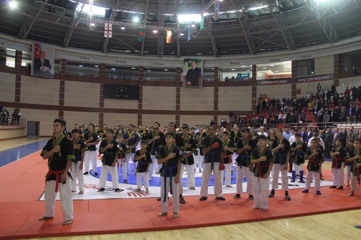 Alpaqut Turan Döyüş Sənəti üzrə Dünya kuboku keçirilib