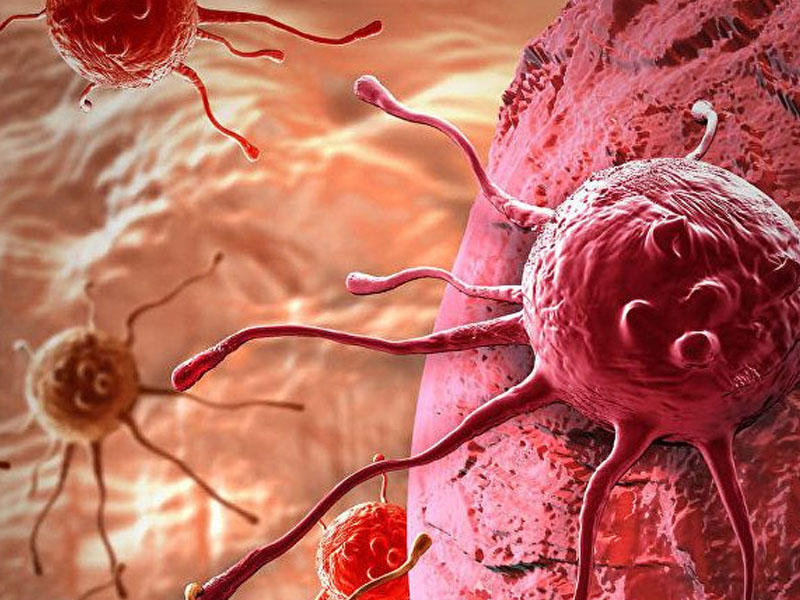 Bəyənməyib atdığımız qidalar xərçəngdən qoruyur - ARAŞDIRMA