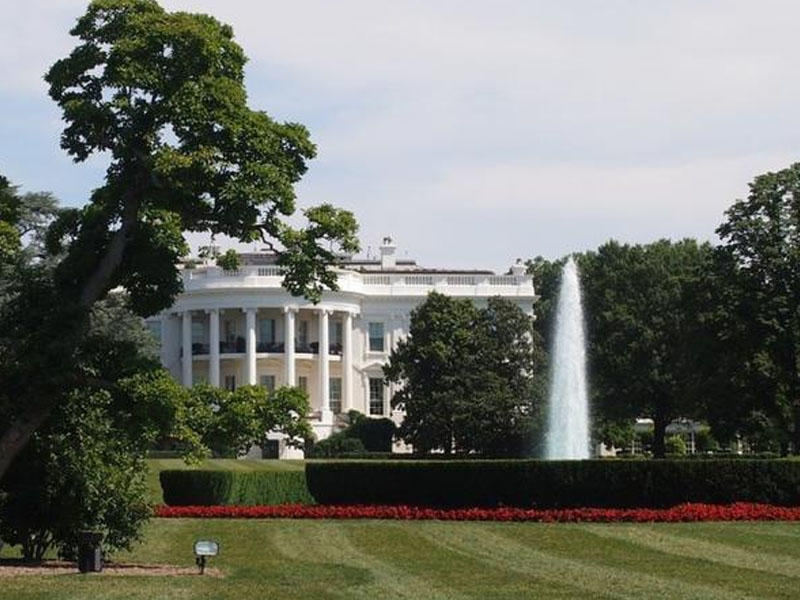 Melaniya Tramp Ağ Evin həyətindəki 200 illik ağacları kəsdirir