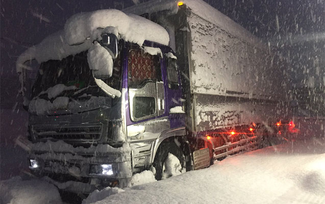 Yaponiyada qar fəlakəti - Fotolar + Video