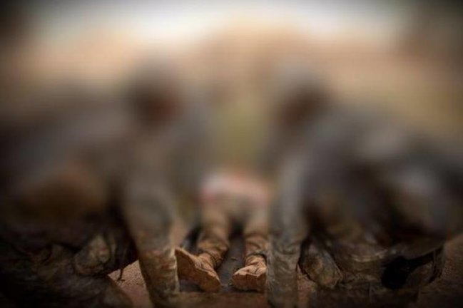 Erməni ordusunda biabırçılıq: Zabit cinsi istəyini yerinə yetirməyən əsgərin başını əzdi