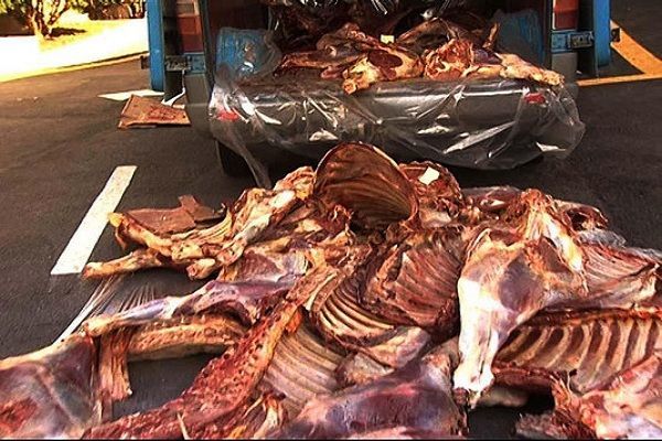 Ağsuda mənşəyi məlum olmayan ət aşkarlanıb