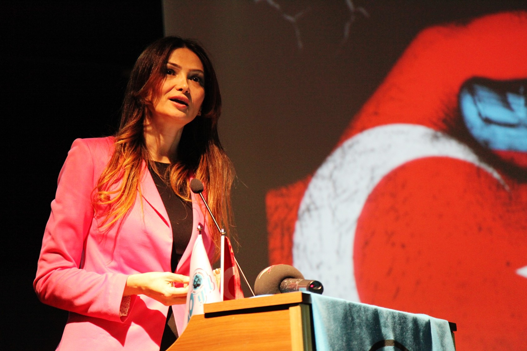 Qənirə Paşayeva Sarkisyanın AŞPA-ya çıxış üçün dəvət edilməsinə etiraz etdi