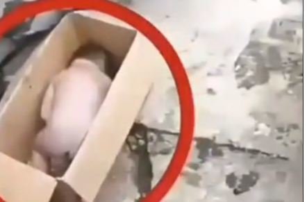 Ananın vicdansızlığı! Dünyaya gətirib suya atdı- VİDEO