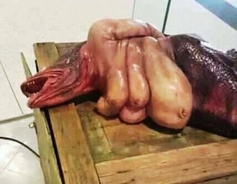 Qeyri-adi su pərisi görənləri şok etdi - Dəhşətli VİDEO