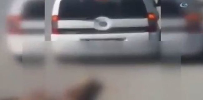 İti maşının arxasına bağlayıb sürüdü - Dəhşətli VİDEO