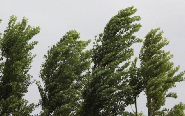 Bakıda güclü külək əsəcək - XƏBƏRDARLIQ