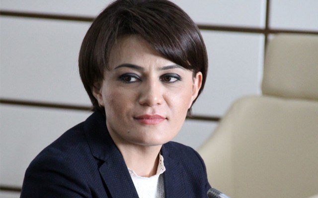 ANASINDAN DEPUTATA ŞOK İTTİHAMLAR! – “Bütün mal-mülkü ələ keçirdi”