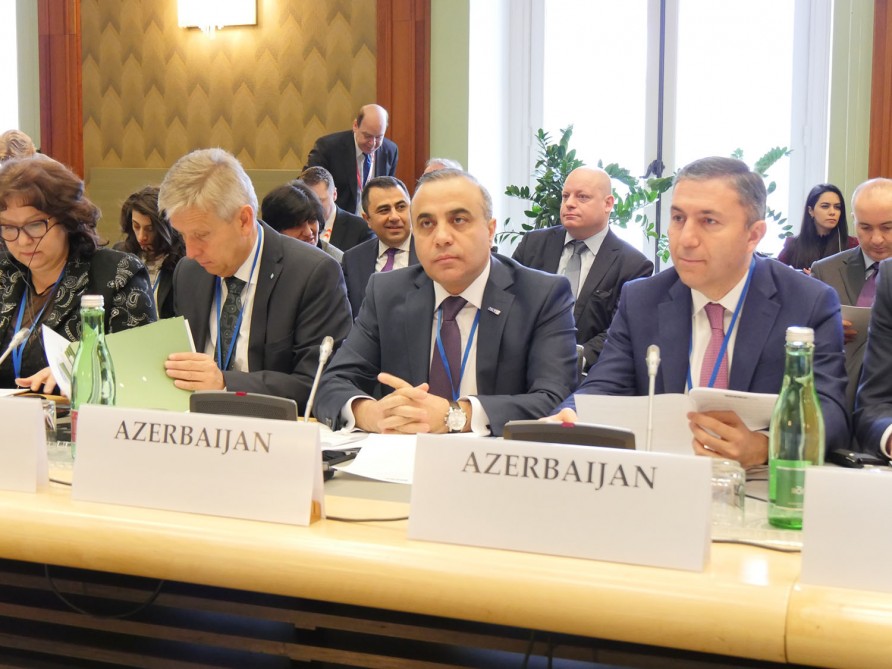 Vyanada ATƏT PA-nın 17-ci qış sessiyası işə başlayıb - FOTO