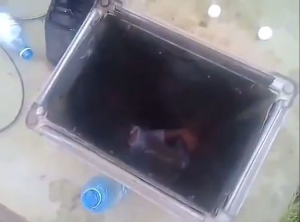 Bakıda kişini öldürmək üçün havalandırma qurğusuna atdılar – VİDEO