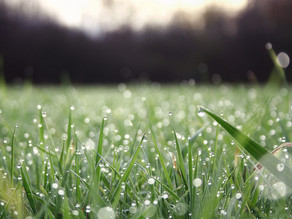 Proqnozlar Bürosu: Martın 15-də havanın temperaturu 4 dərəcəyədək yüksələcək