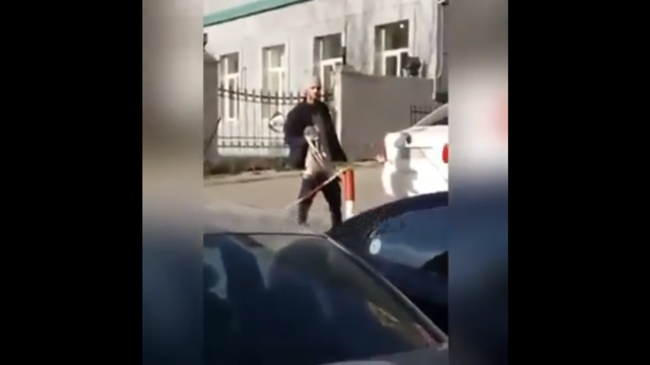 Küçənin ortasında pişiyə təcavüz etdi: Bakıda İLGİNC OLAY - VİDEO