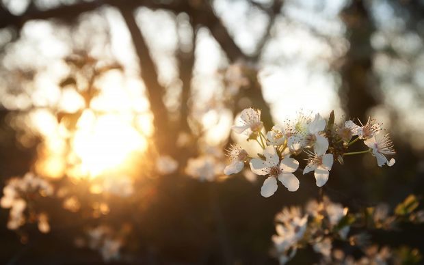Sabaha olan hava proqnozu