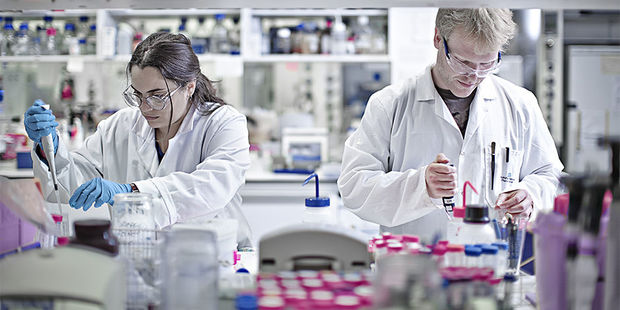 Xərçəngin səkkiz növünü müəyyən edən üsul tapıldı