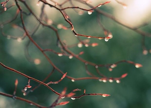 Sabaha olan hava proqnozu