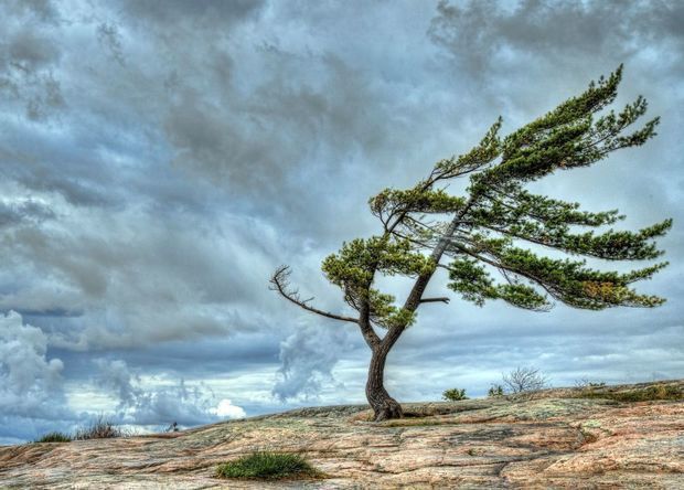 Sabah güclü külək əsəcək