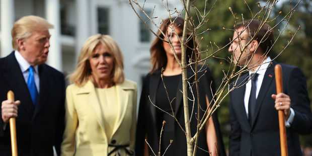 Makronun Trampa hədiyyə etdiyi itmiş palıd tapıldı