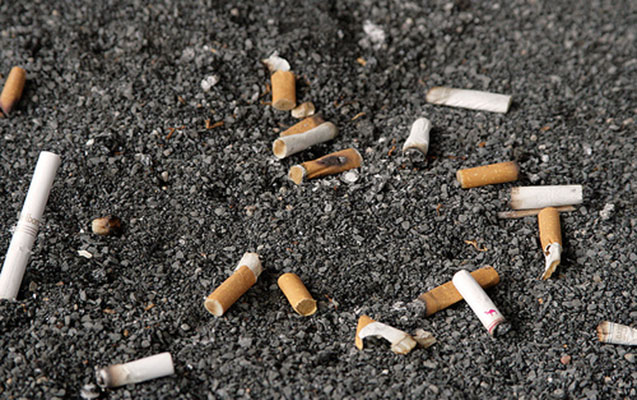 Baş nazir tütünlə bağlı qərar verdi