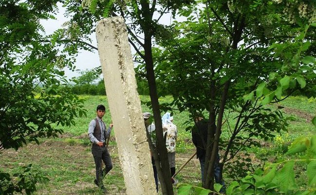 Ağdamda işçiləri icra başçısının bağında qul kimi işlədirlər - FOTOLAR