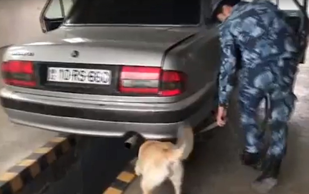 Gömrük iti narkotiki belə tapdı - Video