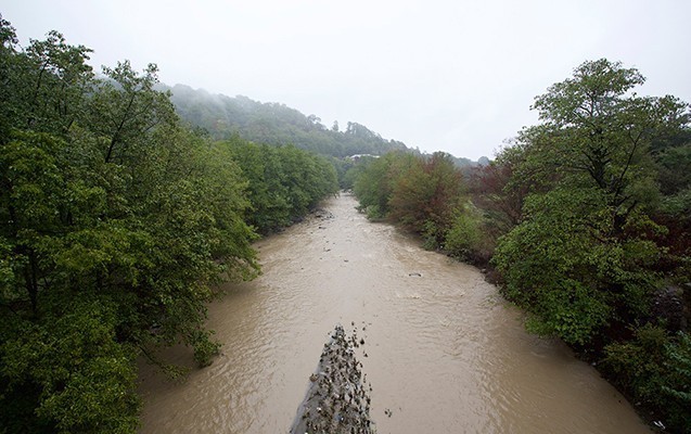 Çaylarda son vəziyyət açıqlandı