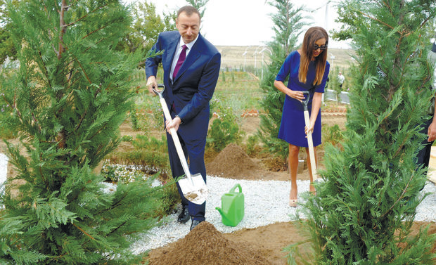 İlham Əliyev ağacəkmə kampaniyasında iştirak edib  - YENİLƏNİB