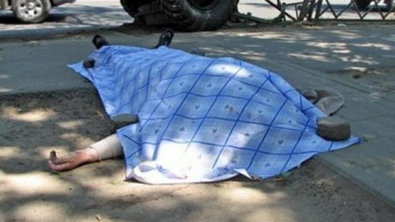 Şabranda bədbəxt hadisə: at qoşqusunun altında qaldı