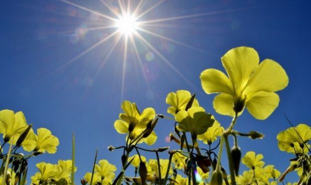 Temperatur 32 dərəcəyədək yüksələcək