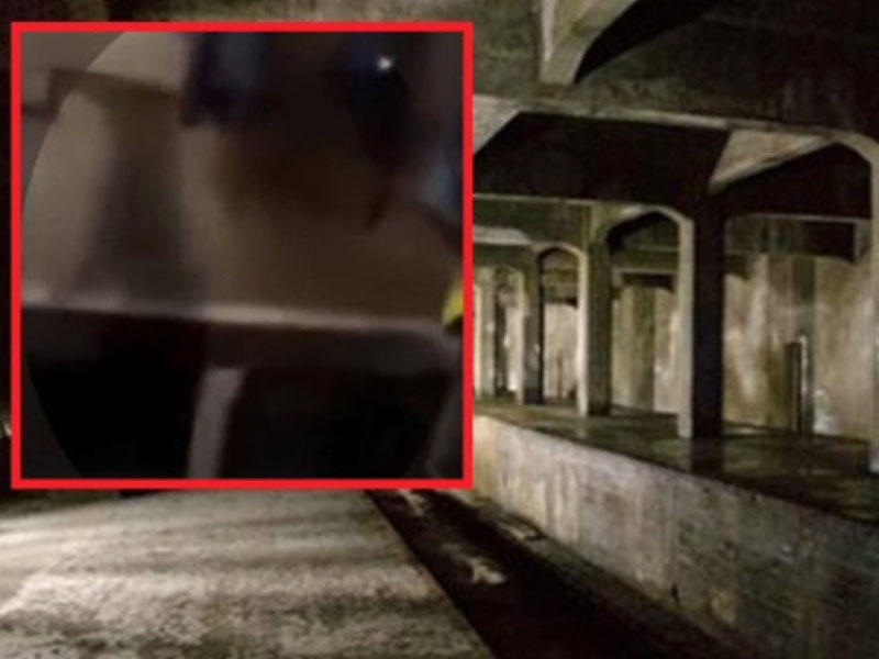 Aşağı mərtəbədən gələn səsə getdi: qışqırıb qaçdı - DƏHŞƏTLİ MƏNZƏRƏ - VİDEO