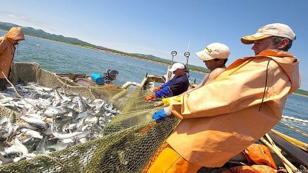 Balıq ovu ilə bağlı cəzalar sərtləşdirildi - VİDEO