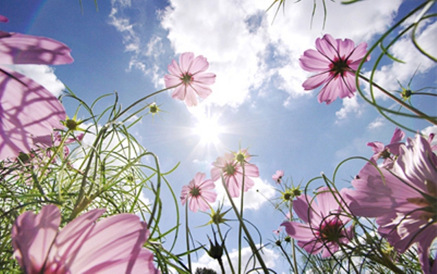 Sabah 33 dərəcə isti olacaq