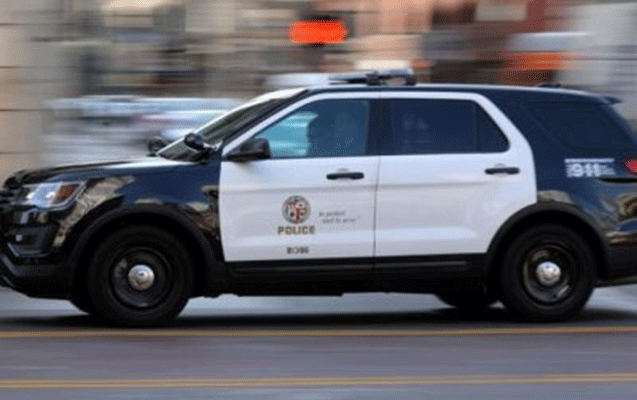 Amerikada erməni dələduzluğu - 8 milyon dollarlıq cinayət