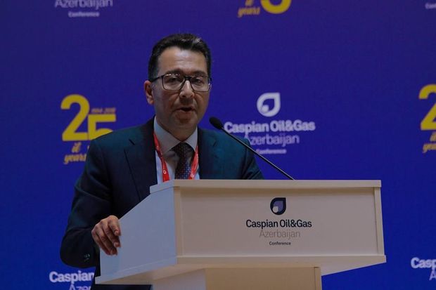 Cənub Qaz Dəhlizinə xərclənən vəsait bəlli oldu