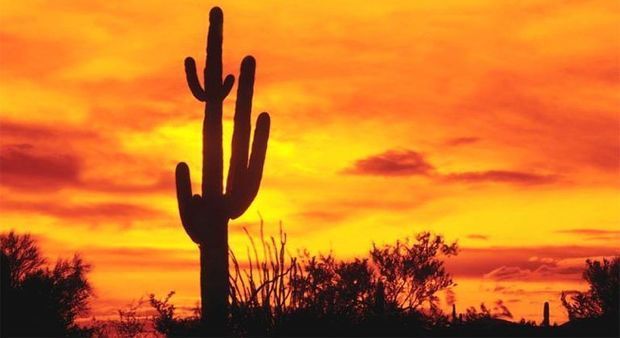 Meksikada istilər: Hökumət fövqəladə vəziyyət elan etdi